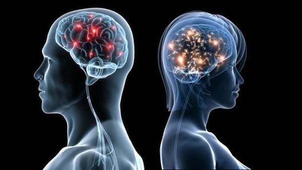 Consultation et soins de neurologie à l'EPSNF, Fresnes Consultation et soins de neurologie à l'EPSNF, Fresnes